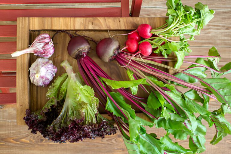 Storing Fresh Produce: Tips to Keep It Crisp and Tasty