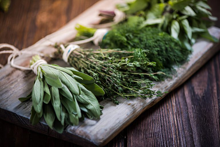 How to Store Fresh Herbs to Make Them Last Longer