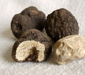 Italian Truffe