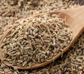 anise seed anise seed