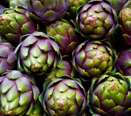 artichoke artichoke
