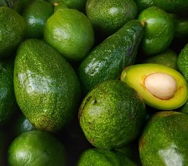 avocado avocado