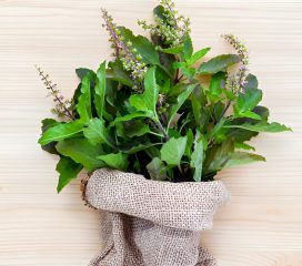 basil basil