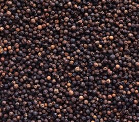 black pepper black pepper