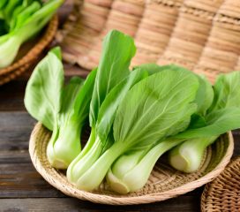 bok choy bok choy