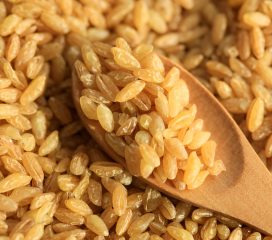 bulgur wheat bulgur wheat