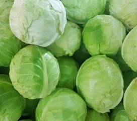 cabbage cabbage