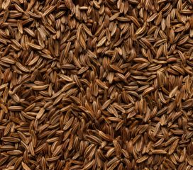 caraway seeds caraway seeds