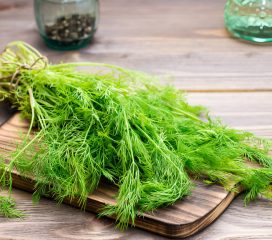 dill dill