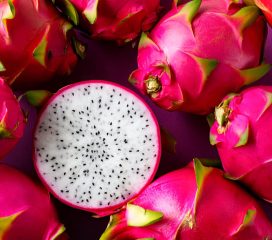 dragon fruit dragon fruit