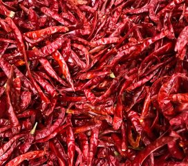 dried red chilli dried red chilli