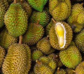 durian durian