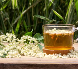 elder flower