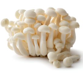 enoki mushrooms
