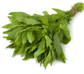 epazote