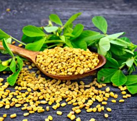fenugreek