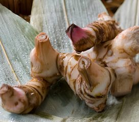 galangal