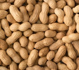 groundnut