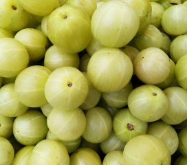 indian gooseberry