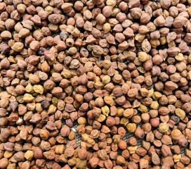 kala chana kala chana