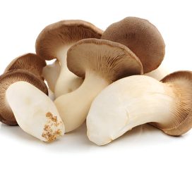 king oyster mushrooms