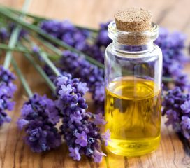 lavender