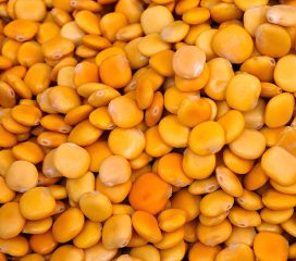 lupin beans