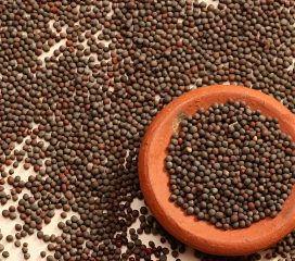 mustard seeds